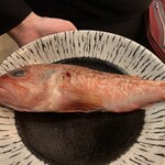 うみからそらへ - あらかぶ（調理前）　デカいっす！