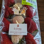 Atelier de Fromage Karuizawa Hatsuchishiniwa Ten