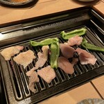 Tori Yakiniku Botorubado - 