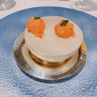 シンジコガ - サーモンのマリネとレモンと唐辛子のソルベ