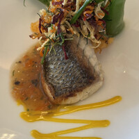 テラコヤ - スズキのポワレ