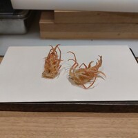 天ぷら 福たろう - 