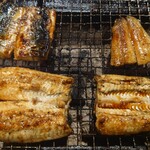 梟の響キ 秋月 いろり蔵 - 