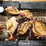 梟の響キ 秋月 いろり蔵 - 