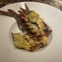 名駅 鉄板焼き 森本Ｘ Premium - 