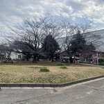 コンブチャ ブルワリー&タップルーム - 