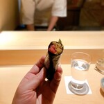 鮨 しょう太 - まぐろの突先
                                