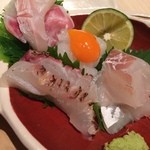 くろぎ - お造り（鯛・すずき・あおりいか）