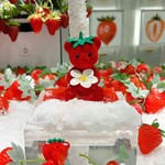 LOUANGE TOKYO Le Musée - 