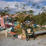 ヒロ コーヒーファーム - 【2014年1月】