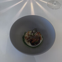 Noeud.×THE CHEF'S - 
