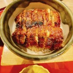 Unagi Washoku Shirakawa - 