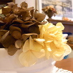 登美屋 - 紫陽花のドライフラワーかな？