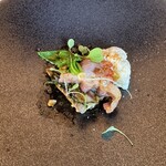 マダム・トキ - 