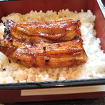 Unagi Ichifuji - 