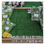 スパイスカレー高丸 - ３月中くらいしか出ないものらしい