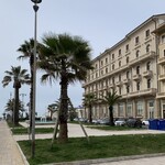 Il Piccolo Principe - 