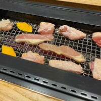 鶏焼き肉 囲 - 