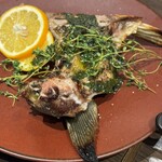 Torattoria Kuaruto - 