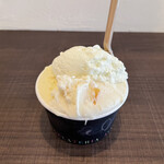 GELATERIA ACQUOLINA - 