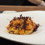 イル アオヤマ - 