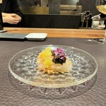 イル アオヤマ - 