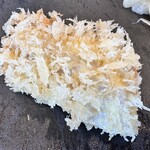 あじふらい てしお - あじふらい（粗びき）