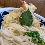 讃岐うどん みやの家 - 