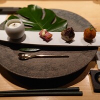 シブ ニシナカス - 