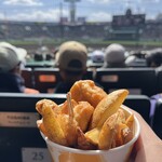 HANSHIN KOSHIEN STADIUM - 