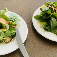 COLONIAL BEACH 横浜ハンマーヘッド - 