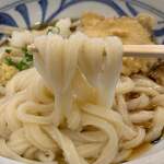 おうどん 瀬戸晴れ - 