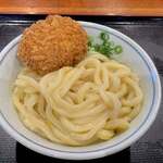 Utsumi Udon - 