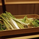 橦木町 しみず - そして各地の山菜たちも