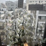 江戸前晋作 - お花