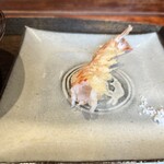 江戸前晋作 - しゅごい