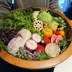 レフェルヴェソンス - 