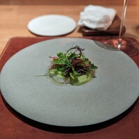 ARMONICO - 