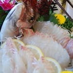 Harachuu - ★鯛のお造り。白身の上品な味わい、食感をお楽しみください！