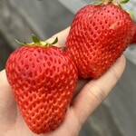 姫路ハートフル観光農園 - 