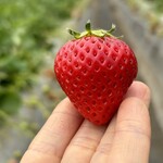 姫路ハートフル観光農園 - 