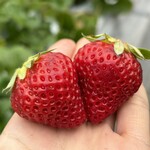 姫路ハートフル観光農園 - 