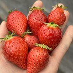 姫路ハートフル観光農園 - 