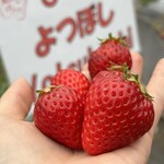 姫路ハートフル観光農園 - 