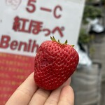 姫路ハートフル観光農園 - 