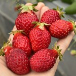 姫路ハートフル観光農園 - 