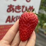 姫路ハートフル観光農園 - 