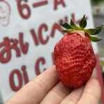 姫路ハートフル観光農園 - 