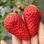 姫路ハートフル観光農園 - 