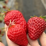 姫路ハートフル観光農園 - 